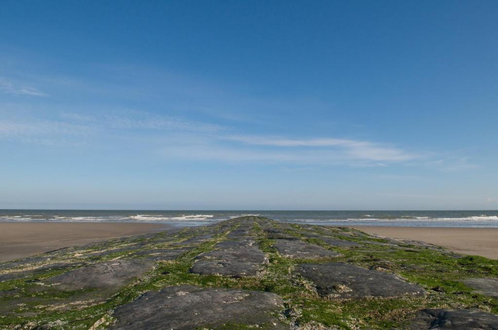 Hotel De Golf Bredene Bagian luar foto